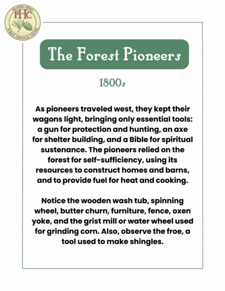 The Forest Pioneers