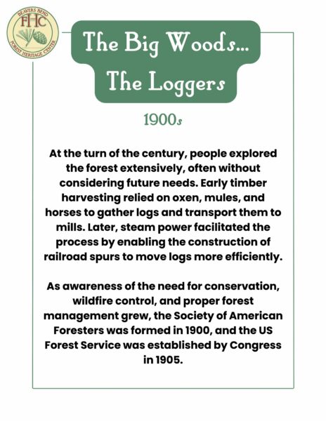 The Big Woods... The Loggers