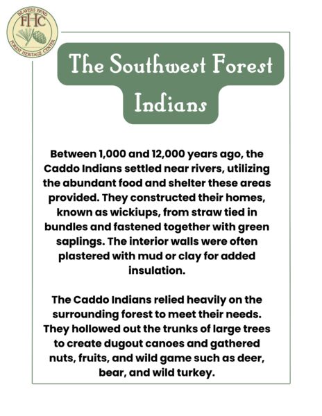 The Southwest Forest Indians