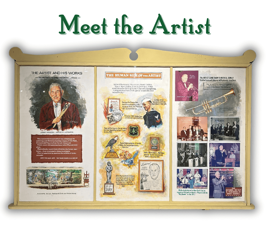 Diorama - Meet the Artist