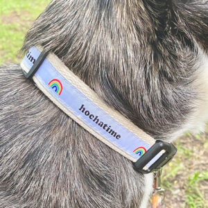 Rainbow-Collar-Dog_480x480