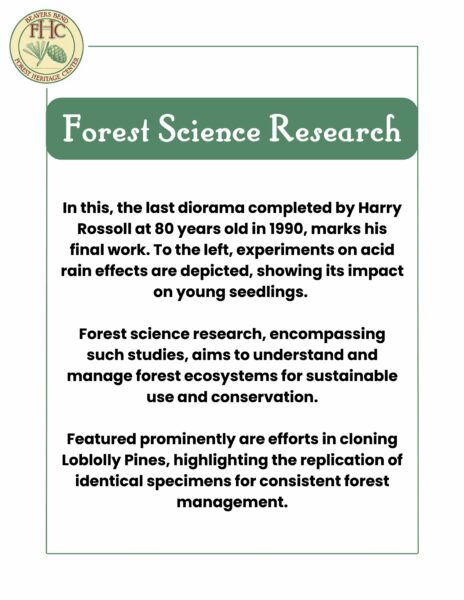 Forest Science Research Diorama