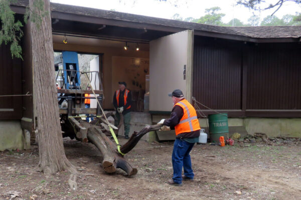 Installing a tree trunk for the Wildland Firefighter Memorial